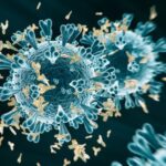 skynews-coronavirus-covid-19_4989883-780×439